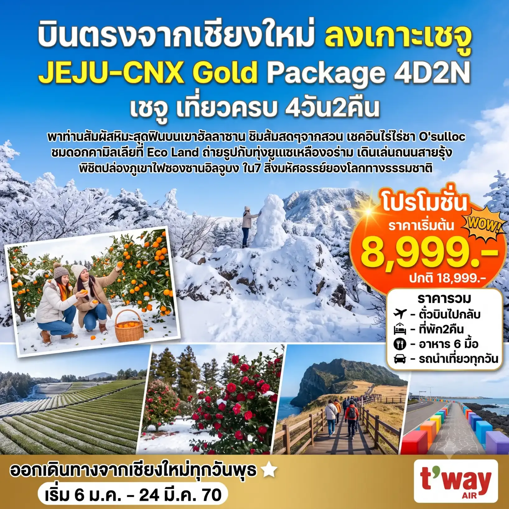 ทัวร์เกาหลี เชจู Jeju Gold Package Winter *บินตรงเชียงใหม่* 4วัน 2คืน (TW)